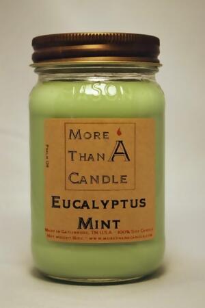 More Than A Candle ELM16M 16 oz Mason Jar Soy Candle, Eucalyptus Mint