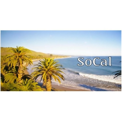 212 Main LPO1949 6 x 12 in. Socal Beach Scene Photo License Plate, Free Personalization on This Plate 