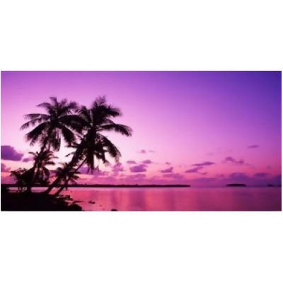 212 Main LPO530 Purple Palm Tree Beach Scene Photo License Plate, Free Personalization on This Plate 