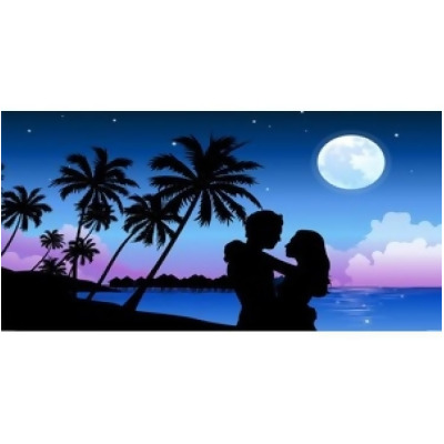 212 Main LPO531 Couple on Beach Photo License Plate, Free Personalization on This Plate 
