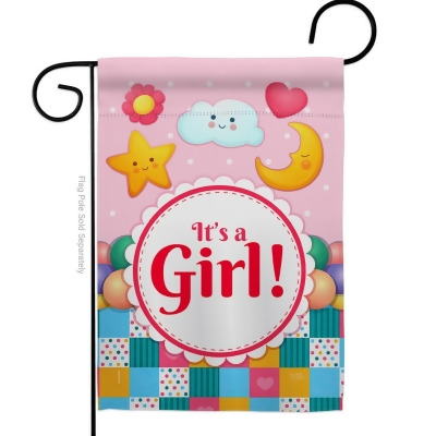 Breeze Decor G165216-BO Its a Baby Girl Celebration New Born Double-Sided Decorative Garden Flag, Multi Color 