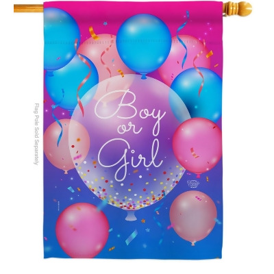 Ornament Collection H192675-BO Boy or Girl Celebration New Born Double-Sided Garden Decorative House Flag, Multi Color 