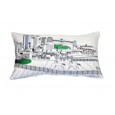 HomeRoots 482497 24 in. Lexington Daylight Skyline Lumbar Decorative Pillow, White 