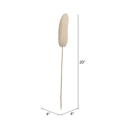 Vickerman H7LUF999 20 in. Luffa on Stem Botanicals, Bleach - Pack of 25 