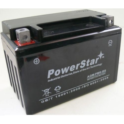 PowerStar pm9-bs-087 Battery Fits Or Replaces Kawasaki Motorcycle 750 Cc  1997-1991 Zx750-K Ninja, Zx-7R, 7Rr