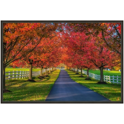 Somerset House Publishing 7063 24.75 x 36.75 in. Lane in Fall, Framed Giclee Canvas Art - Black 