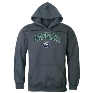W Republic 540-637-Hch-01 Drew University Rangers Campus Hoodie, Heather Charcoal - Small - All