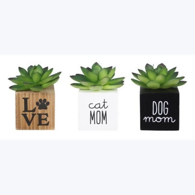 Youngs 12016 5 in. Wood Pet Paw Print Block with Artificial Succulents, Assorted Style - Set of 3 