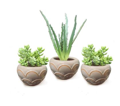 Disttive Designs 2981E Unisex Green Succulent Stems in Small Scallopped Beige Round Bowl - 3 Piece 