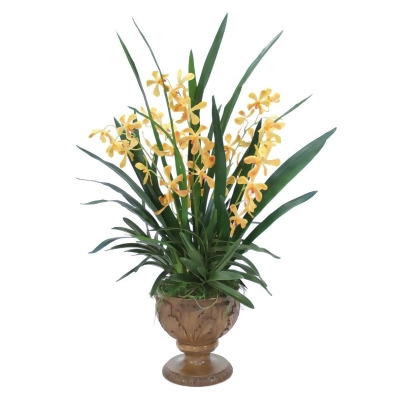 Disttive Designs 7003 Unisex Gold Yellow Vanda Orchid Plant in Acanthus Leaf Urn - Green 