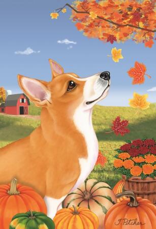 Corgi shop sale online