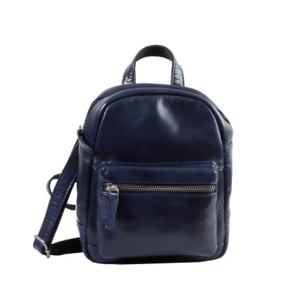 Hadaki HDK750 7.25 x 5.00 x 8.50 in. Mini Backpack, Blue 