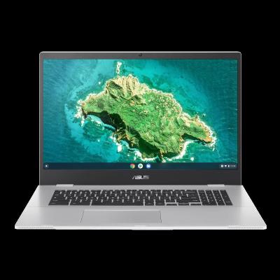 Asus CX1700CKA-WS48F 17.3 in. Intel Celeron N4500 4 GB RAM & 128 GB SSD Chrome OS Laptop, Mineral Gray 