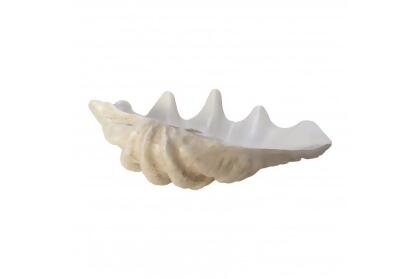 Sagebrook Home 19741-03 25 in. Pearlized Clam Shell Bowl, Ivory & Beige 