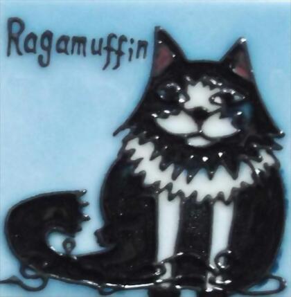 Continental Art Center M-2017 3 x 3 in. Ragamuffin Cat Ceramic Magnet 