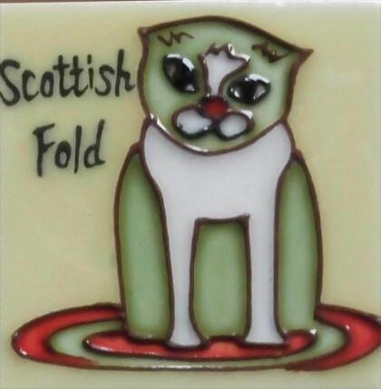 Continental Art Center M-2010 3 x 3 in. Cat Scottish Fold Ceramic Magnet 
