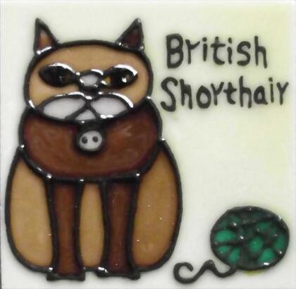 Continental Art Center M-2011 3 x 3 in. British Short Hair Cat Ceramic Magnet 