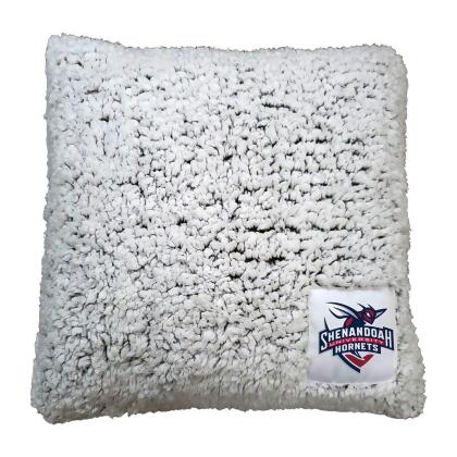 Logo Brands 698-812 Shenandoah Frosty Throw Pillow 