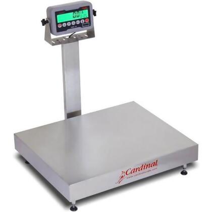 Detecto EB-300-185B 24 x 20 in. 300 lbs Stainless Steel 185B Indicator Electronic Bench Scale 