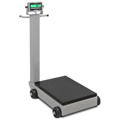 Detecto 5852F-185B 500 lbs 185B Indicator Electronic Portable Scale 