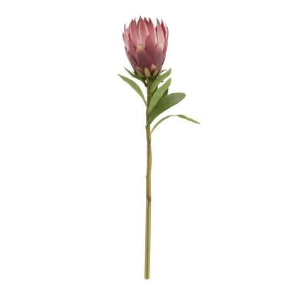 Saro Lifestyle FL197.R 27 in. King Protea Stem Floral Accent, Red - Set of 12 