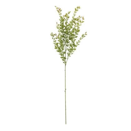 Saro Lifestyle BR155.G 39 in. Acacia Stem Floral Accent, Green - Set of 12 