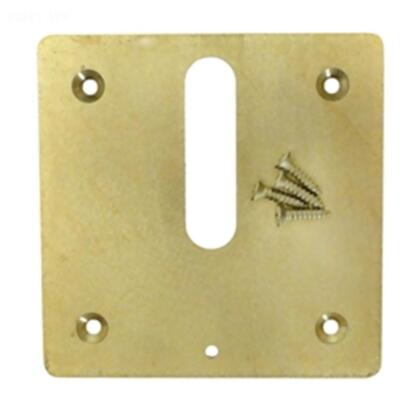 PVMJ6370 Brass Mini Jet Cover Plate 