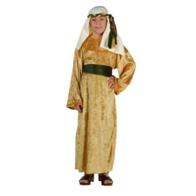 RG Costumes 90281-S Wiseman Costume - Size Child Small 4-6 