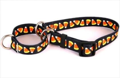 Yellow Dog Design M-CC100XS Candy Corn Martingale Collar - Extra Small 
