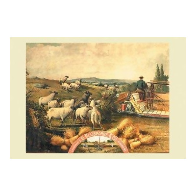 Buy Enlarge 0-587-14500-5C12X18 Osborne - Sheep with Grain Binder- Canvas Size C12X18 