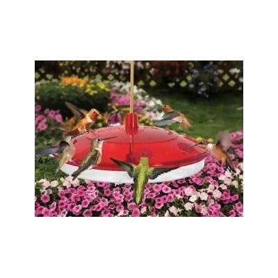 Droll Yankees Inc H8 2 Hummingbird Happy Eight 2 Hummingbird