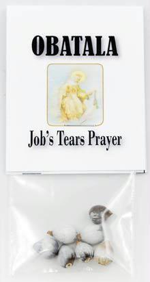 AzureGreen RJOBT Job's Tears 