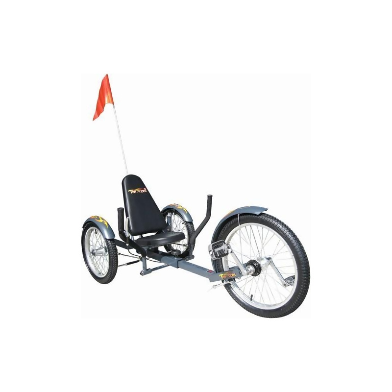 three wheeled cruiser
