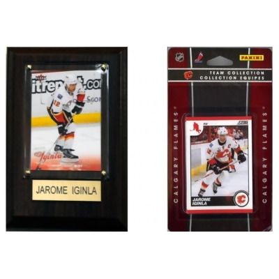 C & I Collectables 10FLAMESFP NHL Calgary Flames Fan Pack 