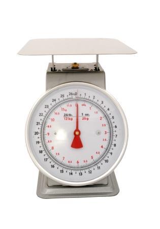 Zenport Industries AZD25 Dial Scale 25 lb - 12 Kg 