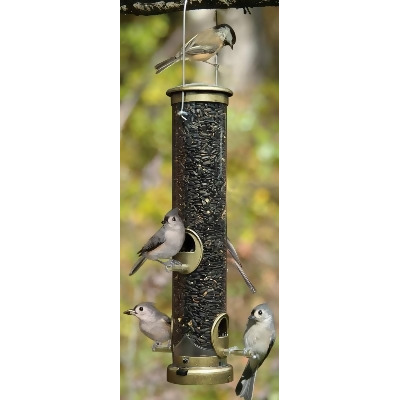 Aspects Medium Antique Brass Seed Tube Feeder Quick Clean 