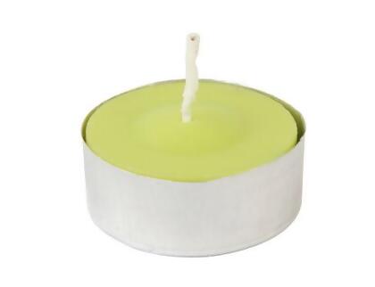 Zest Candle CTC-001 Lime Green Citronella Tealight Candles -100pcs-Box 