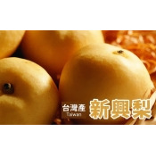 【台北濱江】台灣產新興梨5kg/盒(8顆入)~果實碩大,多汁且甜美清脆 【台北濱江】台灣產新興梨5kg/盒(8顆入)~果實碩大,多汁且甜美清脆