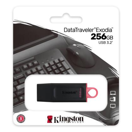 Kingston 金士頓 256GB DataTraveler Exodia USB 3.2 隨身碟 DTX/256GB 