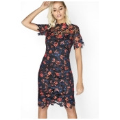 Blossom Lace Dress Blossom Lace Dress