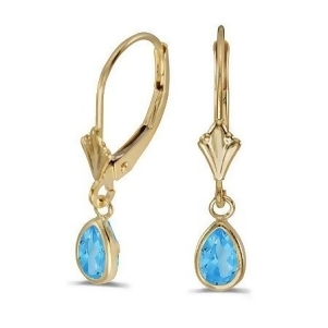 Blue Topaz Dangling Drop Lever-Back Earrings 14K Yellow Gold 1.00ct - All