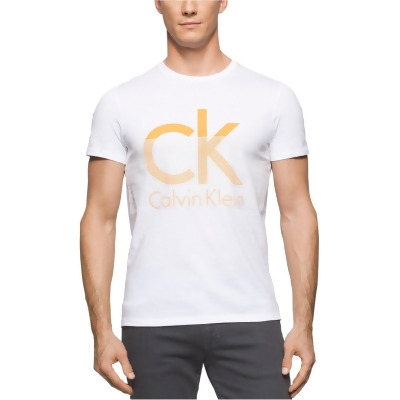 calvin klein t shirts mens