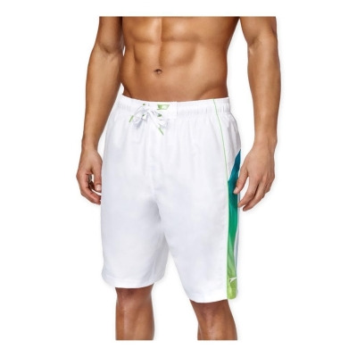 speedo mens board shorts