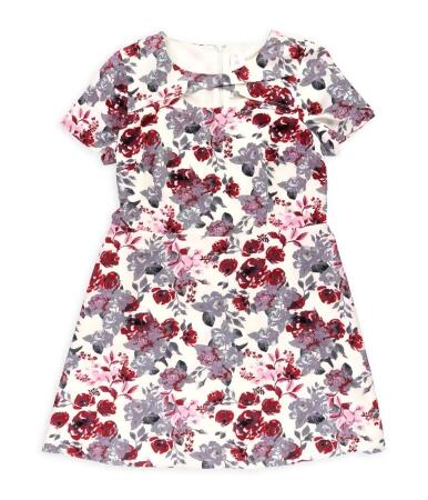 Kensie Womens Floral A-Line Dress - XL