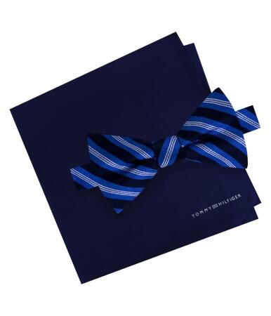 Tommy Hilfiger Mens Tri-Stripe Neck Tie Set - One Size