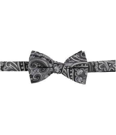 Countess Mara Mens Paisley Texture Bow Tie - One Size