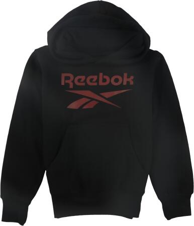 Reebok Boys Logo Hoodie Sweatshirt, Style # EW6475 alternate image