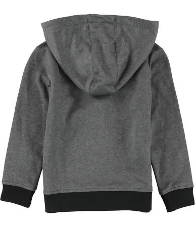 Reebok Boys Power 1895 Hoodie Sweatshirt, Style # QBF52154 alternate image