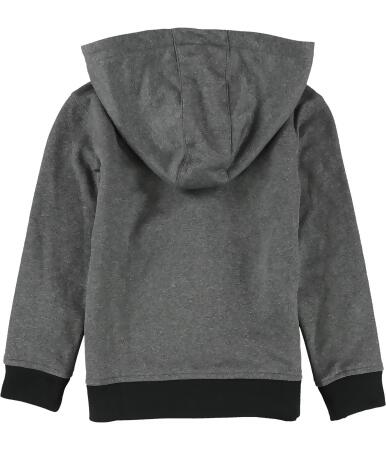 Reebok Boys Power 1895 Hoodie Sweatshirt, Style # QBF52154 alternate image