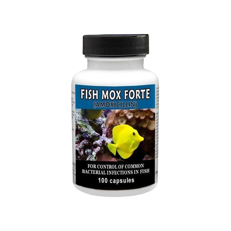 Fish Mox Forte (Amoxicillin) 500mg (100 capsules) from